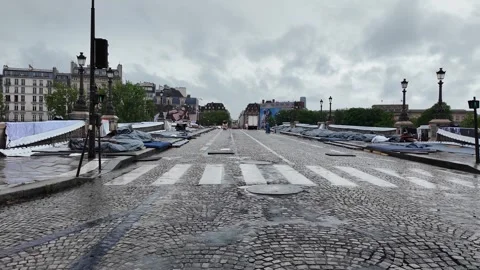 Scenic View of Pont Neuf Bridge and Seine River in Paris France Stock Footage 336460174