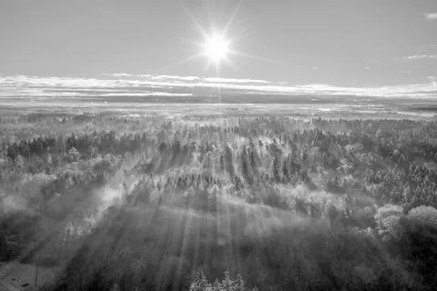 Scenic view of rays of sun beaming through the forest, an aerial from a drone Stock Photos