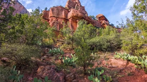 Scenic View of Red Sandstone Cliffs on Sand Bench Horse Trail, Zion National Par Stock Footage 332018044
