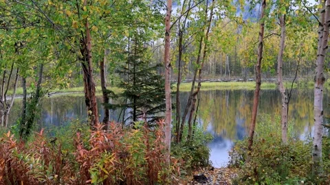 Scenic view of Reflection lake in Alaska during autumn time. Stock Footage 285993744