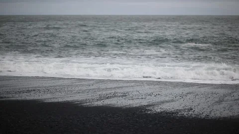 Scenic view of Reynisfjara black sand beach near Vik in Southern Iceland Stock Footage 301251553