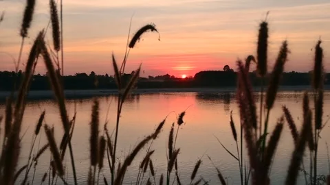 Scenic View Of River Against Sky during sunset Stock Footage 246526571
