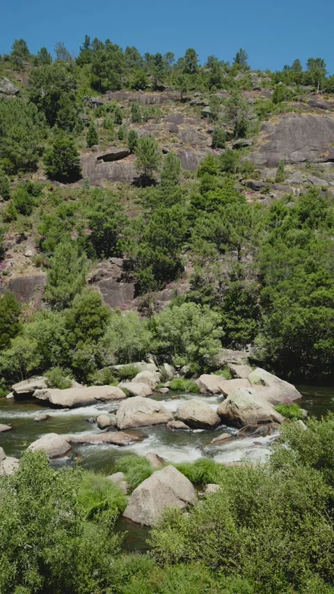 Scenic view of a river flowing through a rocky landscape surrounded Video stock 295064378