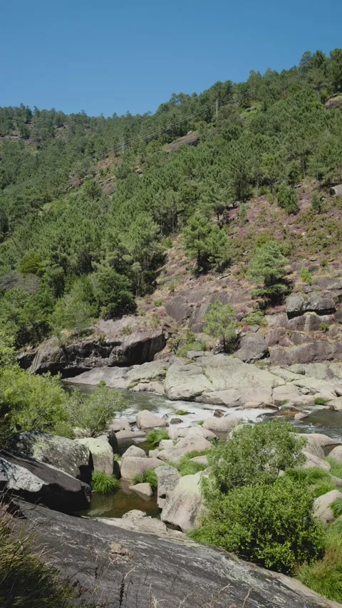 Scenic view of a river flowing through a rocky landscape Video stock 295065152