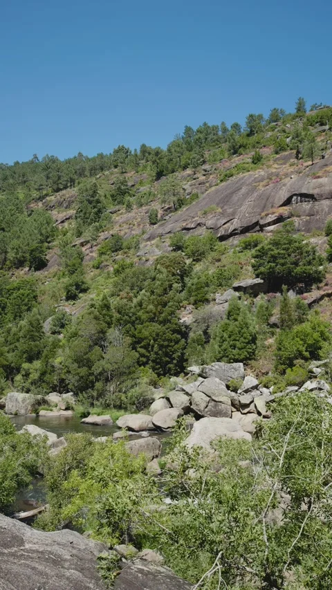 Scenic view of a river flowing through a rocky landscape Видео 295065699