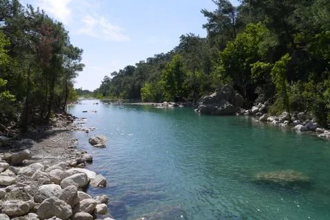 Scenic view on the river with forest Stock Photos