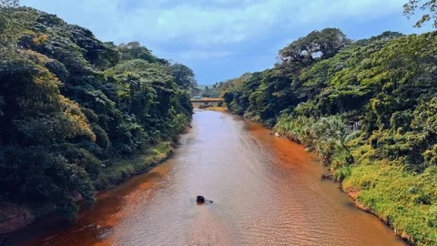 Scenic view of river, lush vegetation, hills and sky with clouds. Stock Footage 303569863