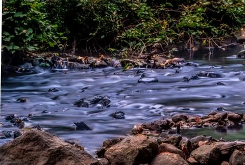 Scenic View of River Stock Photos