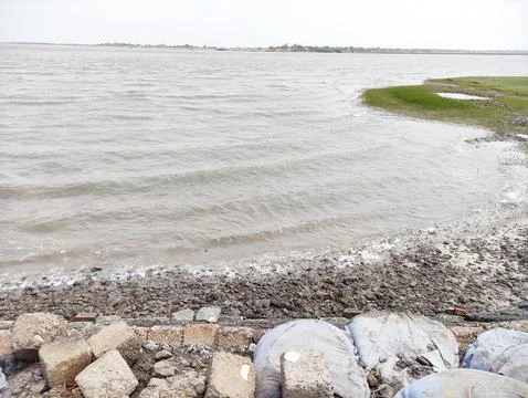 Scenic View of River Waves Hitting Shore with Green Bank Foto stock
