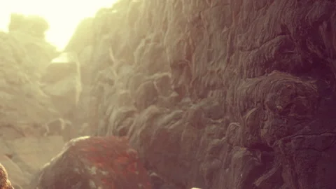 Scenic view of rocky path under bright sunlight in a natural setting Stock Footage 340227116
