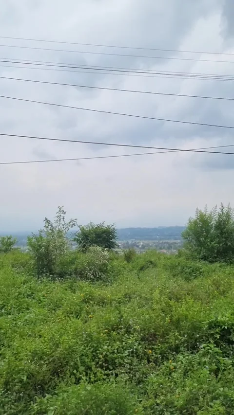 Scenic view of rural landscape Video stock 337402958