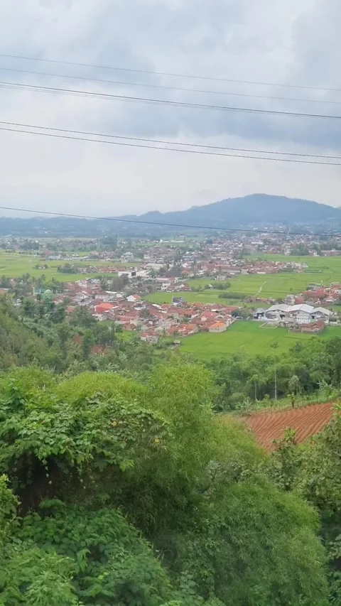 Scenic view of rural landscape Video stock 337402962