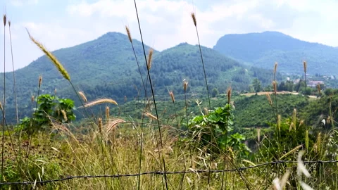 Scenic view of rural nature featuring lush green mountains. Stock Footage 337301988
