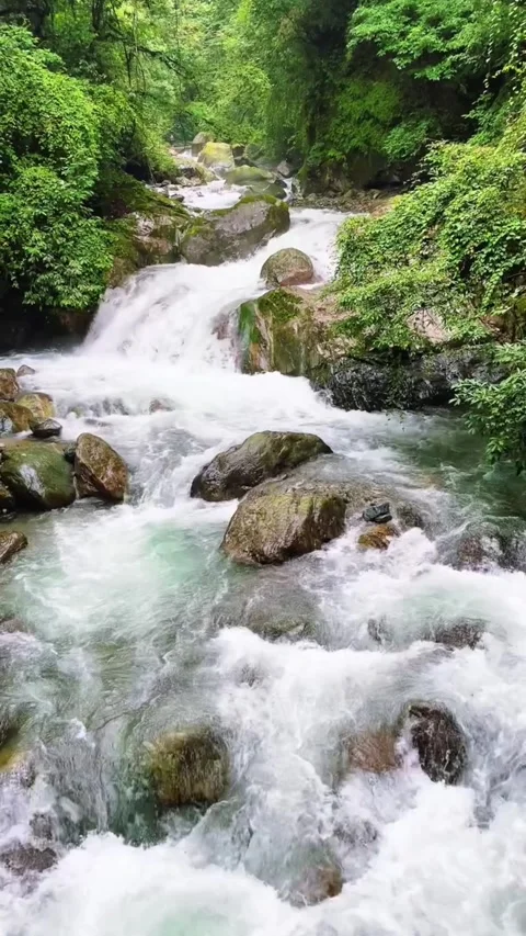 A scenic view of a rushing mountain stream cascading over rocks in a lush green Vídeos de archivo 334163886