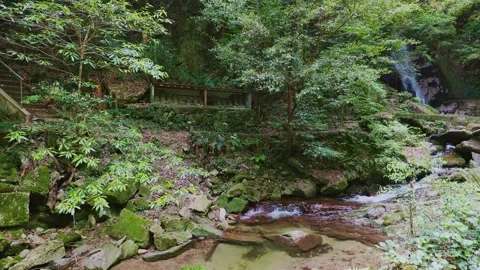 A scenic view of sacred stone Buddhas and a waterfall hidden in a green forest Stock Footage 335018427