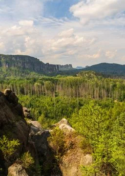 Scenic view of sandstone cliffs rising above pine forest in Saxon Switzerland Stock Photos