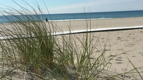 A scenic view of a sandy seaside beach with people strolling along the shoreline Stock Footage 310840341