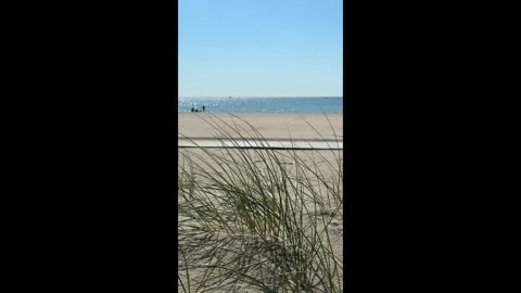 A scenic view of a sandy seaside beach with people strolling along the shoreline Stock Footage 310840407