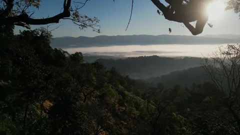 Scenic view of sea of clouds and foggy mountain valley at bright morning su.. Vídeo Stock 345132008