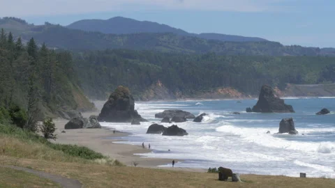 Scenic view of sea stack formations at battle rock wayside park Video stock 138527293