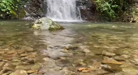 Scenic view of sendang waterfall Stock Footage 239598030