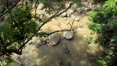 A scenic view of a shallow rocky river flowing through a lush tropical forest Stock Footage 337982367