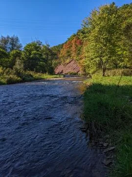 Scenic View of a Shallow Rushing River Flowing Through an Autumn Forest Stock-Fotos