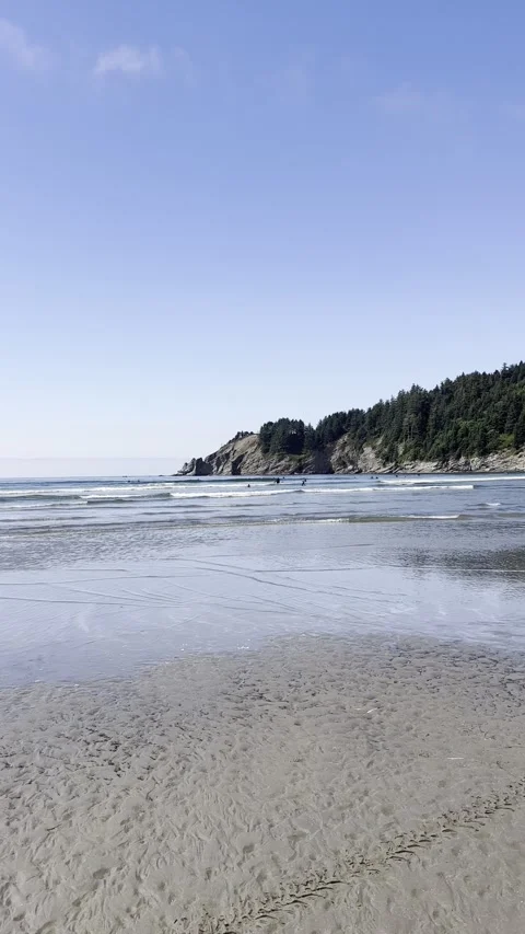Scenic View of Short Sand Beach and Forested Cliffs on Oregon Coast Stock Footage 319242459