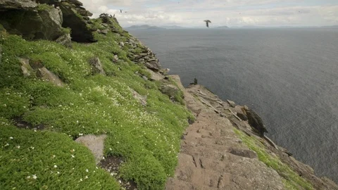 Scenic view of Skellig islands in County Kerry Stock Footage 108732939