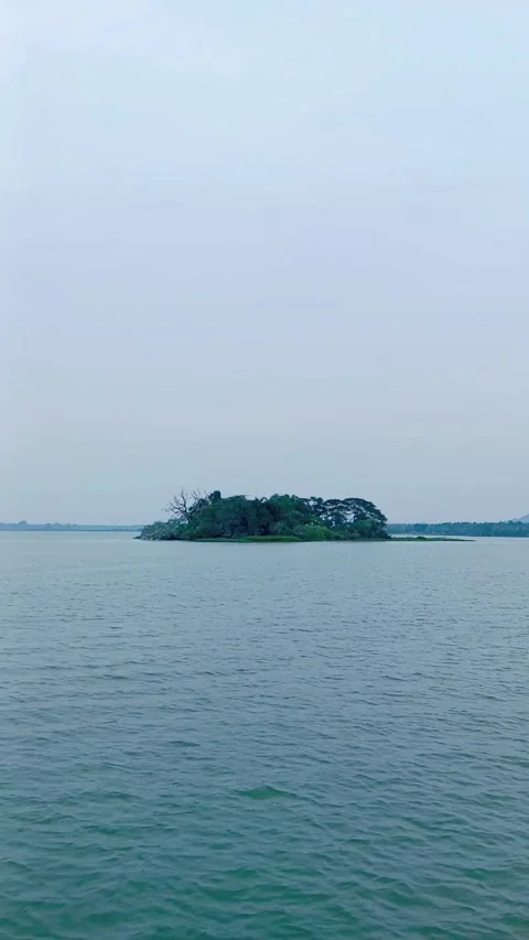 Scenic view of a small island in a calm water reservoir lake Stock Footage 346273200