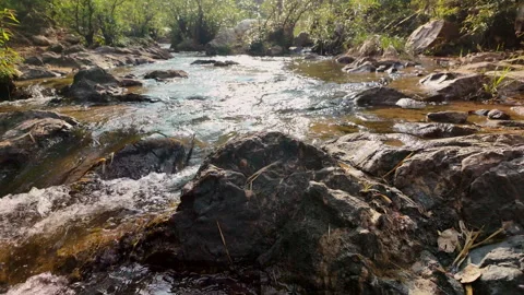 Scenic view of a small rocky waterfall flowing through a lush green forest. Stock-Footage 329902142