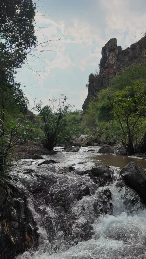 Scenic view of a small rocky waterfall flowing through a lush green forest. Stock-Footage 329902161