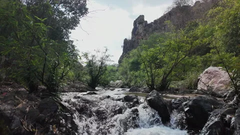 Scenic view of a small rocky waterfall flowing through a lush green forest. 库存影片 329902177