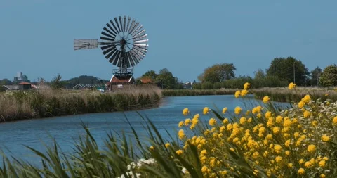 Scenic view of small windmill by the canal and wildflowers in the Netherlan.. Stock Footage 279526273