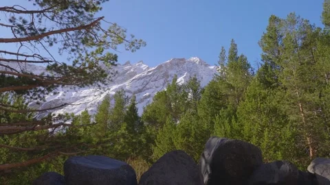 Scenic View of Snow Capped Caucasus Mountains with Pine Forest Stock Footage 320856591