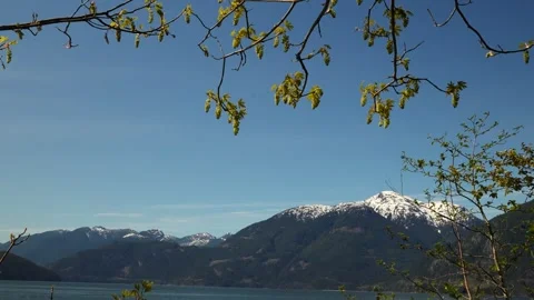 Scenic View of Snow-Capped Mountains and Lake Through Trees Stock-Footage 274085153