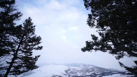 Scenic view of snow covered trees and mountains in Yellowstone National Park Stock-Footage 93371209