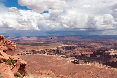 Scenic view on Split Mountain Canyon seen from Grand View Point Overlook ne.. Foto stock