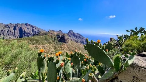 Scenic view on steep cliffs and rocks near Masca in Teno mountain massif, T.. Stock Photos