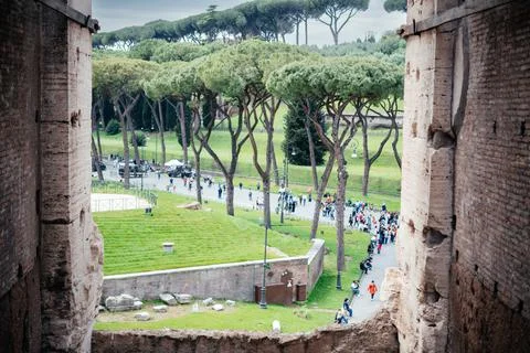 Scenic view of the stone pine trees and ancient ruins in the old Rome center Stock Photos