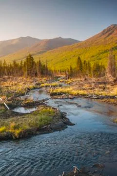 Scenic view of a stream in Eagle River Valley, Chugach State Park, Southcentral Stock Photos