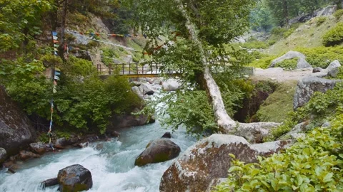 Scenic view of a stream in the mountains 스톡 동영상 197404118