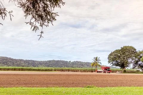 Scenic view of sugar cane fields in Cairns, Queensland Stock Photos