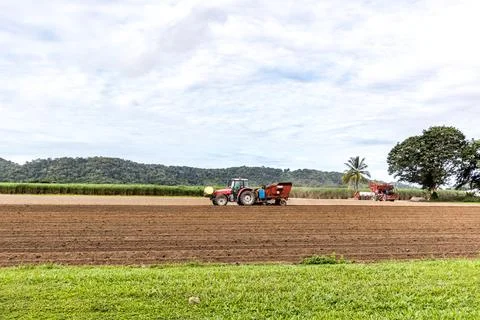 Scenic view of sugar cane fields in Cairns, Queensland Stock Photos