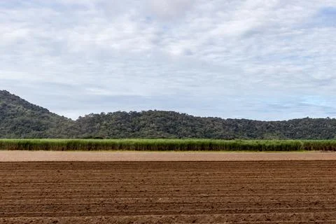 Scenic view of sugar cane fields in Cairns, Queensland Stock Photos