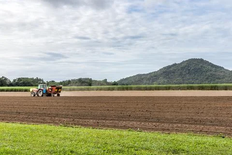 Scenic view of sugar cane fields in Cairns, Queensland Stock Photos