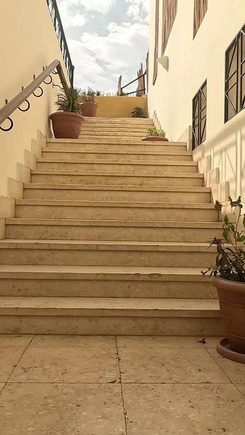 Scenic View of Sunlit Staircase Surrounded by Potted Plants Leading Upward, Stock Footage 330096058