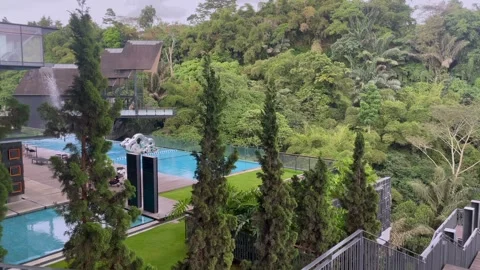 Scenic view of a swimming pool surrounded by a lush tropical forest. Stock Footage 320500047