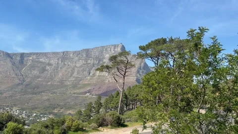 Scenic view of Table Mountain’s rocky escarpment framed by pine trees from a Stock Footage 345289827