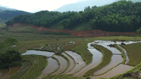 Scenic View of Terraced Rice Fields in Pu Luong, Vietnam Stock-Footage 313631962